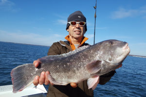 Fishing Charters Large Black Fish with Ocean in the Background