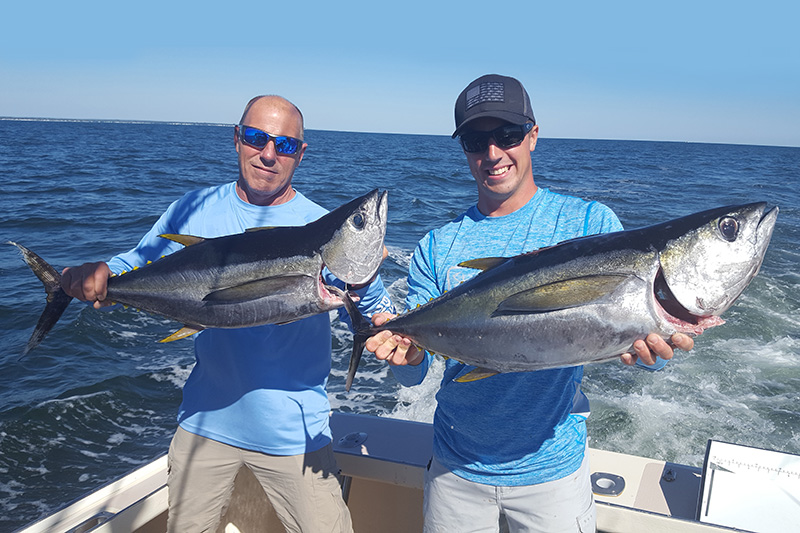 Fishing Charters Yellowfin Tuna Caught by Fishermen on a CT Charter Trip