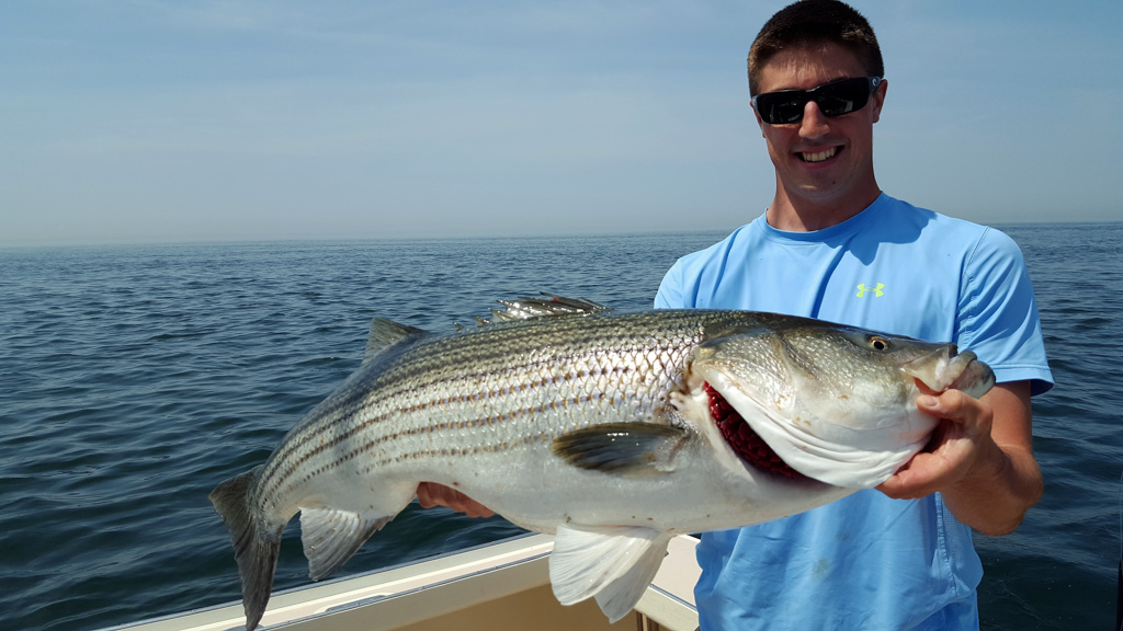 Young Man Holding Large Striped Bass
