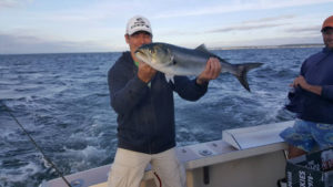 Fisherman Holding His Catch of the Day